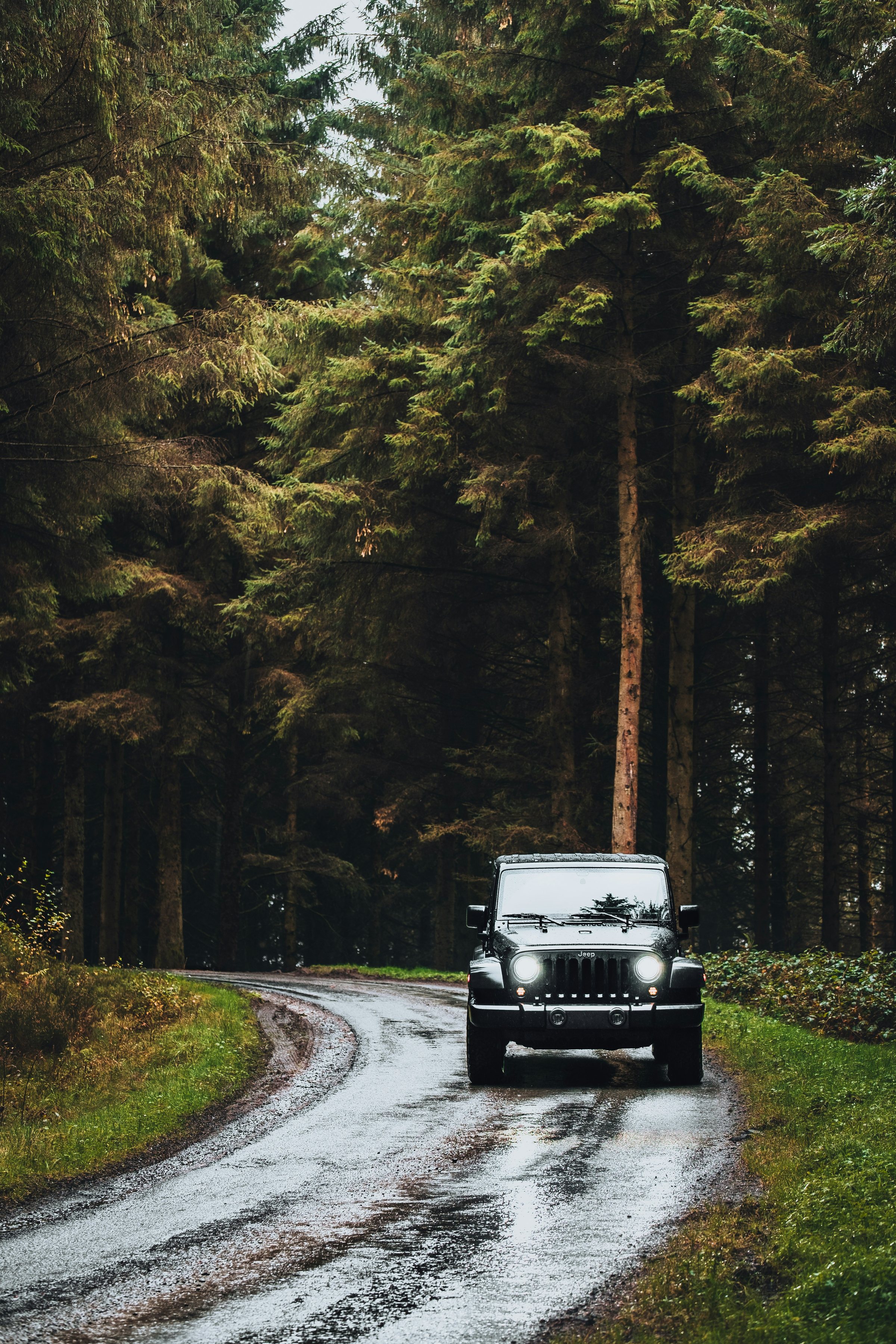 숲길을 달리는 오프로드 차량